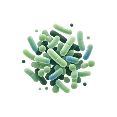 Probiotiques
