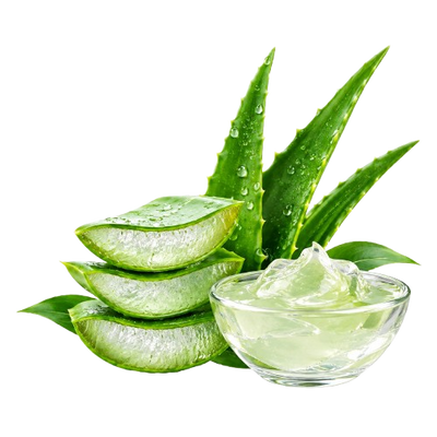 Extrait d’aloe vera